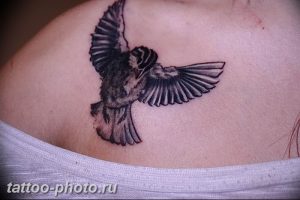 рисунка тату воробей 03.12.2018 №110 - photo tattoo sparrow - tattoo-photo.ru
